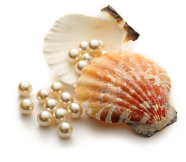 Scattering white pearls in seashell