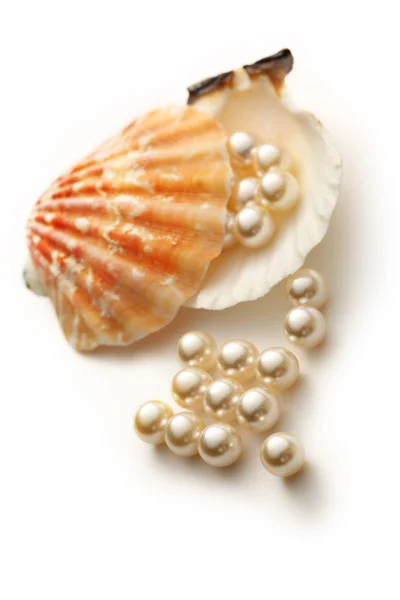 Rozptyl bílé perly v mušli — Stock fotografie