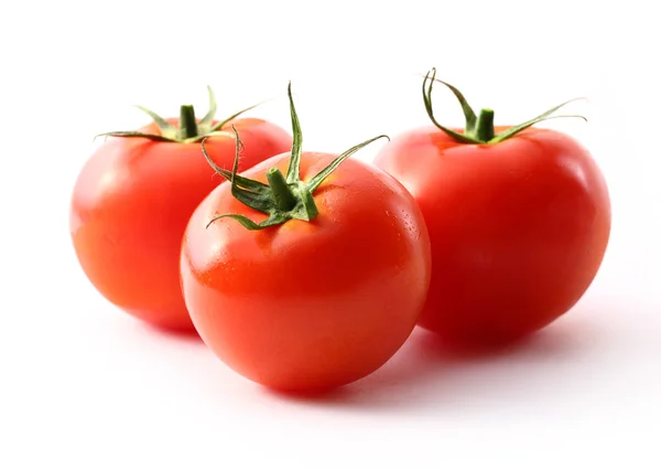 Tomates sobre o fundo branco — Fotografia de Stock