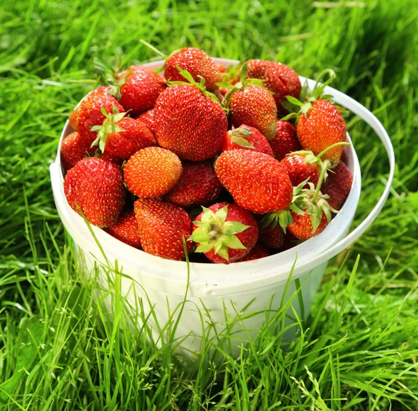 Mogen jordgubbe i korg på gräs — Stockfoto