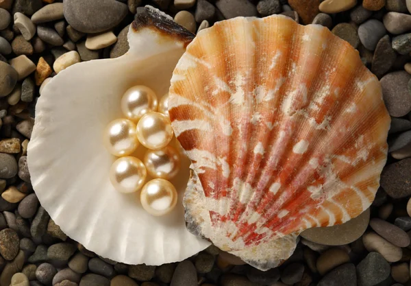 Scattering white pearls in seashell — Stock Photo, Image
