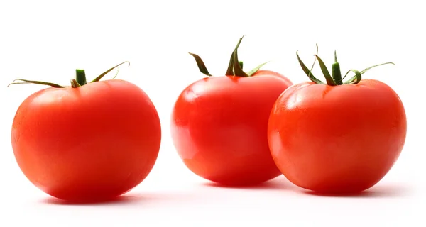 Tomates sobre o fundo branco — Fotografia de Stock