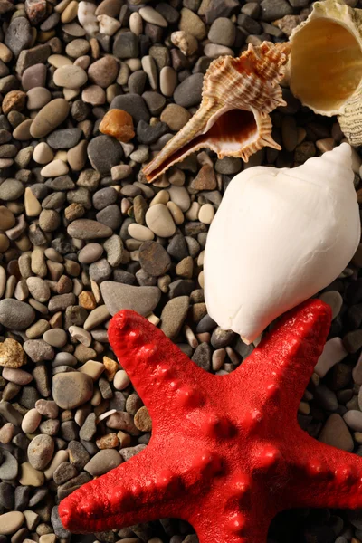 Mar y conchas marinas sobre guijarros — Foto de Stock