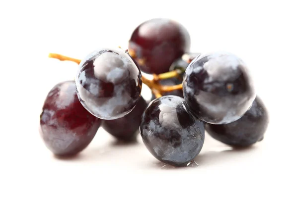 Black grapes isolated on the white background — Stock Photo, Image