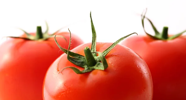 Tomaten auf weißem Hintergrund — Stockfoto