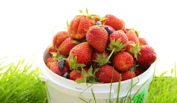 Fraise mûre dans le panier sur l'herbe — Photo