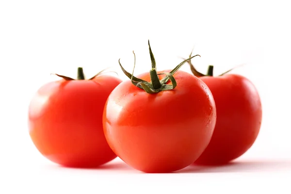 Tomates en el fondo blanco — Foto de Stock