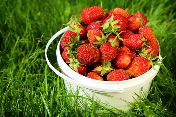 Fraise mûre dans le panier sur l'herbe — Photo