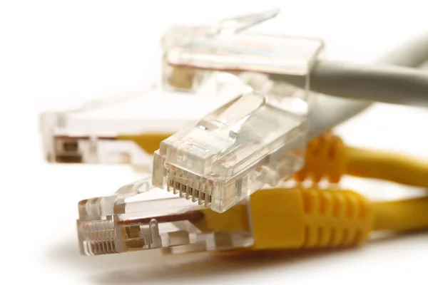 Ethernet-kabel voor een computer — Stockfoto