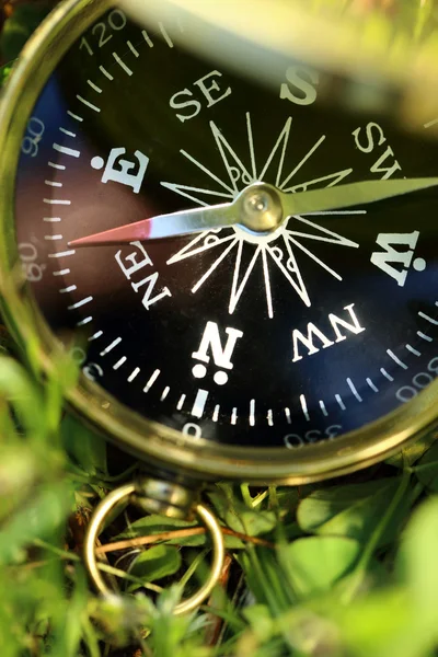 Golden compass on green grass — Stock Photo, Image