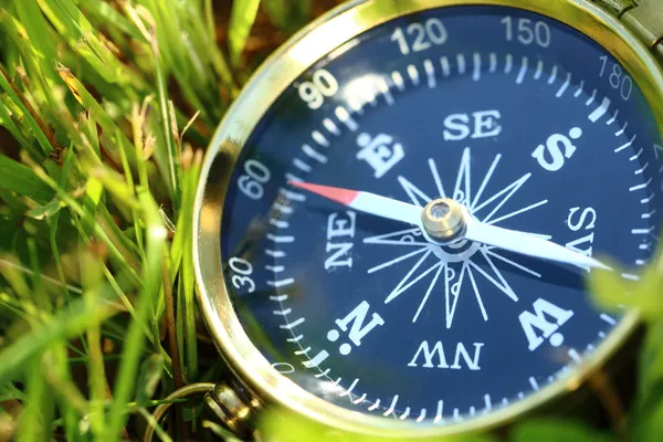 Gouden Kompas op groen gras — Stockfoto