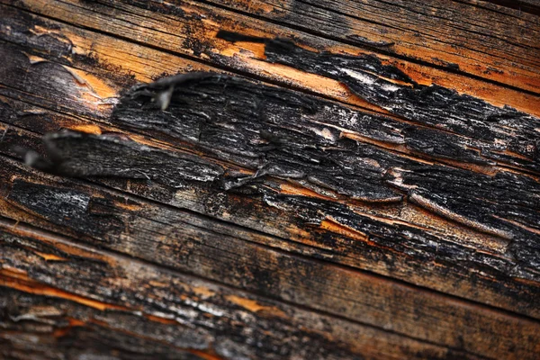 Fond de matériau texturé fissuré en bois — Photo