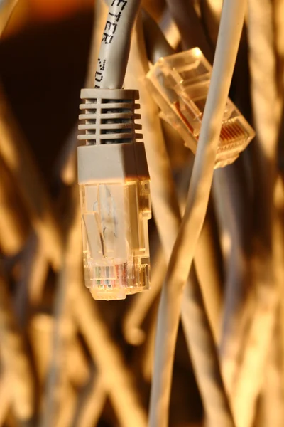 Insulated cords of network link — Stock Photo, Image