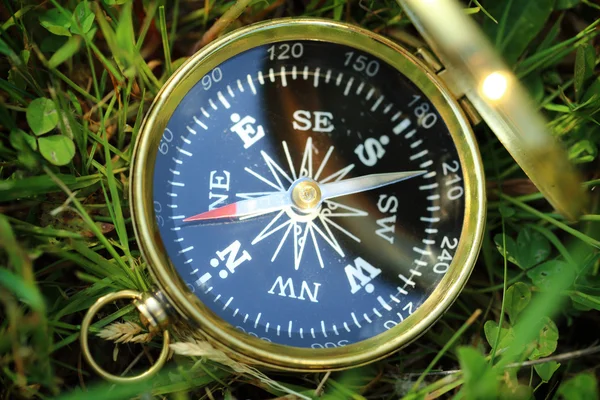 Golden compass on green grass — Stock Photo, Image