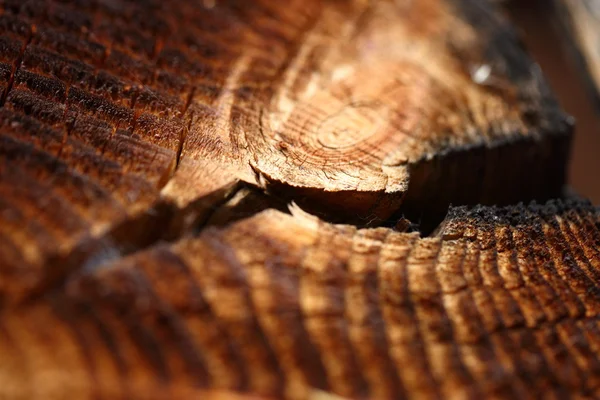 Fond en bois avec anneau de croissance annuel fissuré — Photo