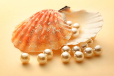 Deniz kabuğu içinde beyaz inci saçılma