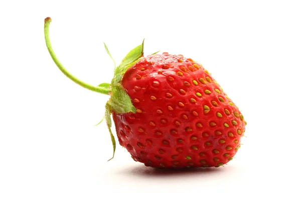 Reife Erdbeere auf weißem Hintergrund — Stockfoto