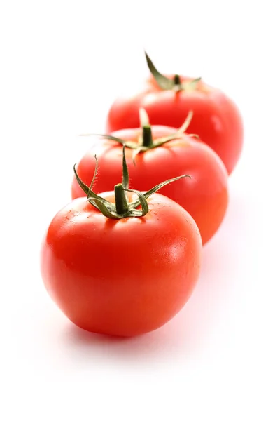 Tomates en el fondo blanco — Foto de Stock