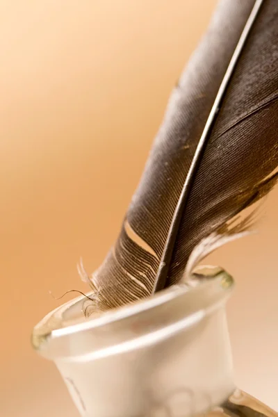 Feather and ink bottle isolated on paper background — Stock Photo, Image