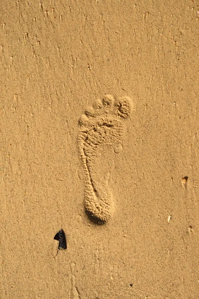 Pegada na areia — Fotografia de Stock