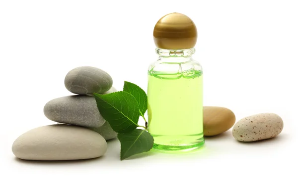 Stones, leaves and shampoo bottles — Stock Photo, Image