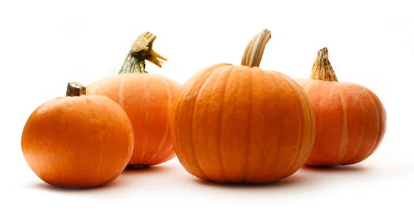 Calabazas — Foto de Stock