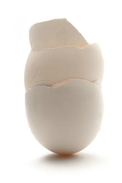 Eggshell — Stock Photo, Image