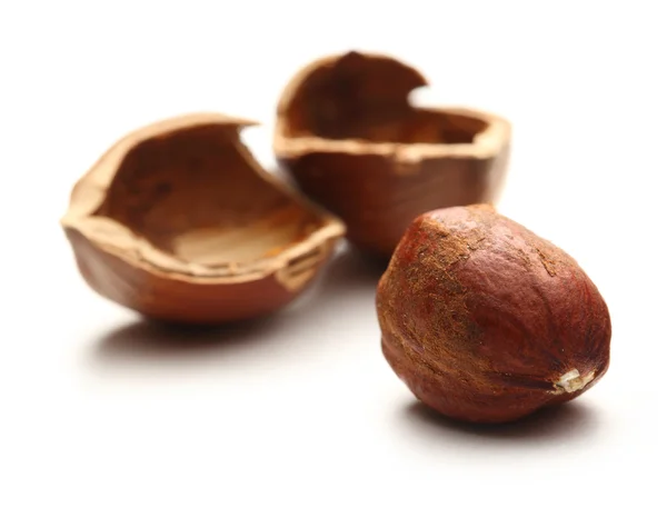Lískové ořechy celé a popraskané — Stock fotografie