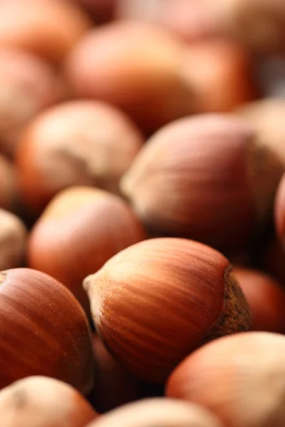 Fresh hazelnuts — Stock Photo, Image