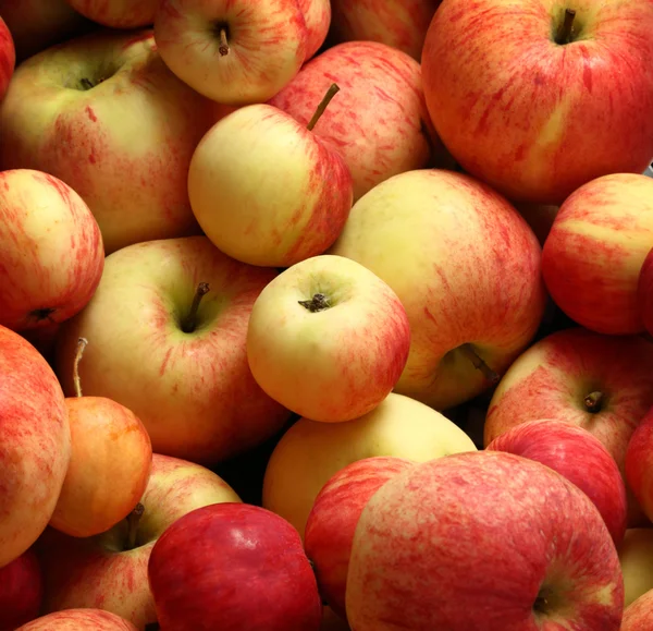 Red apples — Stock Photo, Image