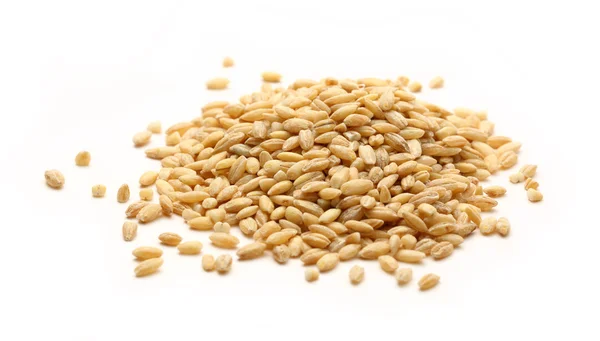 Pearl barley — Stock Photo, Image