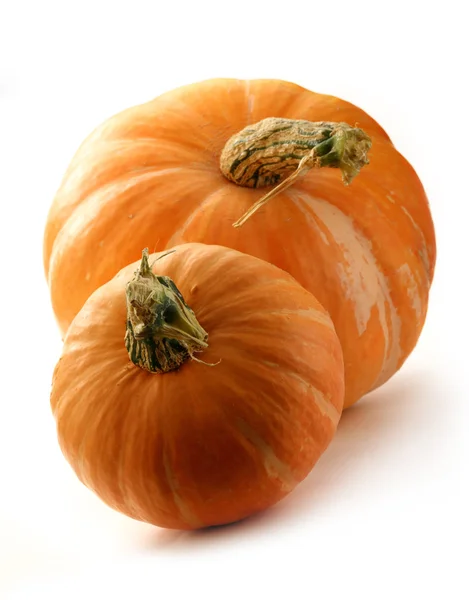 Pumpkins — Stock Photo, Image