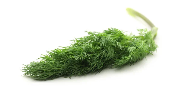 Fresh green dill — Stock Photo, Image