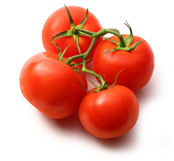 Tomatoes — Stock Photo, Image