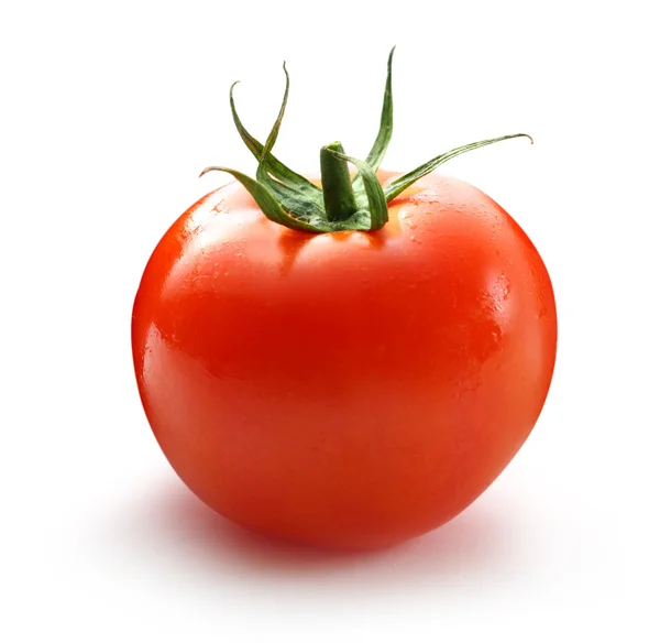 Tomate — Foto de Stock