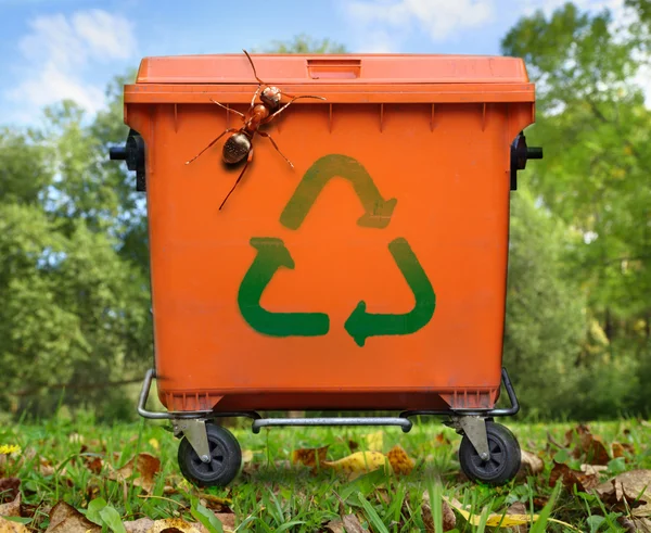 Garbage bin and large ant — Stock Photo, Image