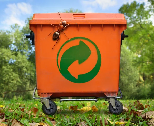 Garbage bin and big ant — Stock Photo, Image
