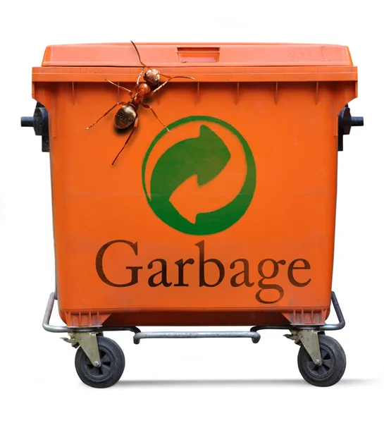 Lixo e formiga grande — Fotografia de Stock