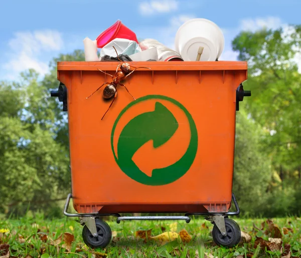 Garbage bin and big ant — Stock Photo, Image