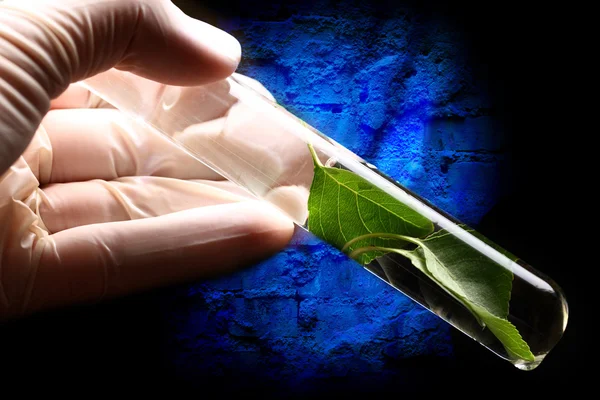 Hand in glove holding test tube — Stock Photo, Image