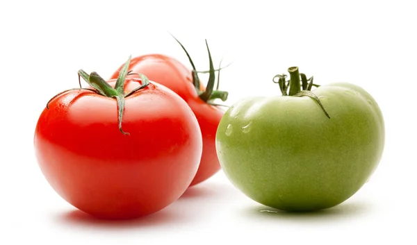 빨강과 초록 토마토 — 스톡 사진