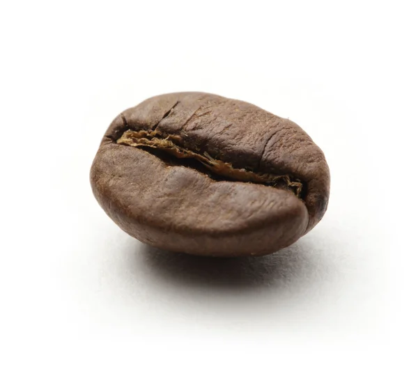 Eine Kaffeebohne — Stockfoto