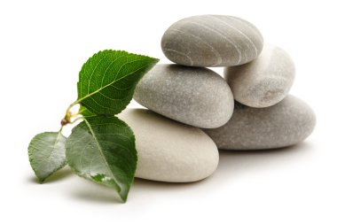 taş yaprakları ile