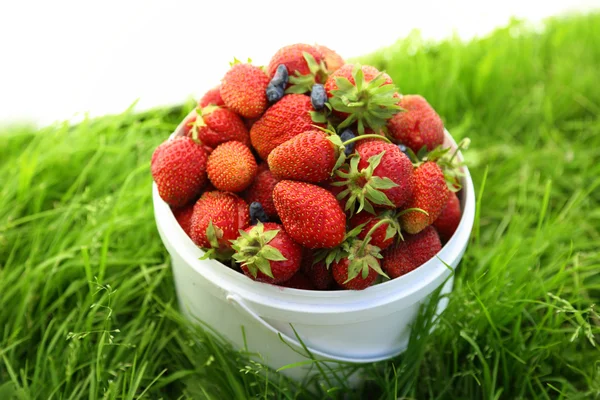 Ripe strawberry in basket — Stock Photo, Image