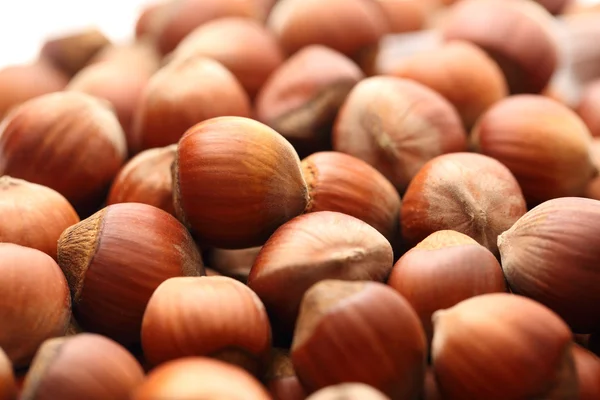 Fresh brown hazelnut — Stock Photo, Image