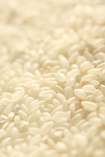 Fondo de arroz blanco — Foto de Stock