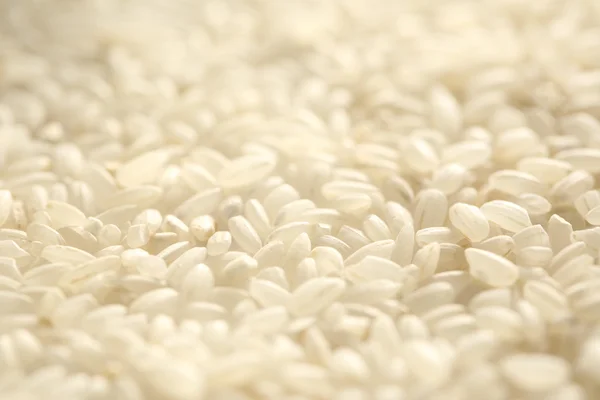 White rice background — Stock Photo, Image