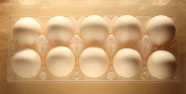 Raw White eggs — Stock Photo, Image