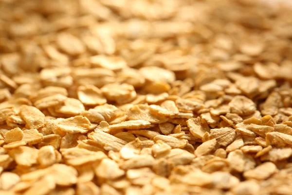 Cereales secos de avena —  Fotos de Stock