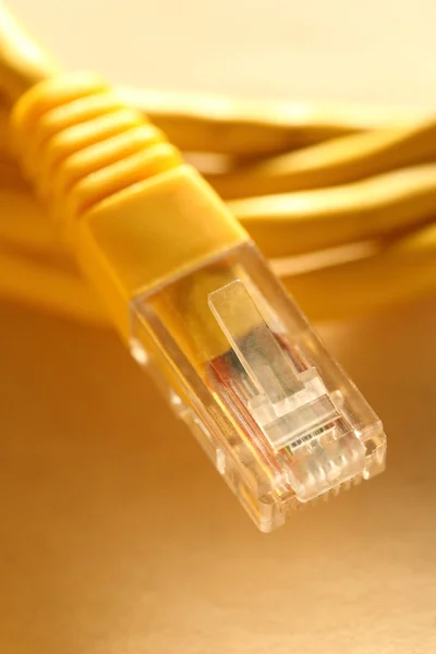 Cable Ethernet para ordenador — Foto de Stock